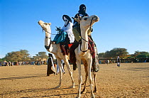 Tuareg camels and riders at the Iferouane festival, central Niger, 2005.