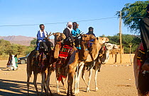 Tuareg camel riders on display at the Iferouane festival, central Niger, 2005.