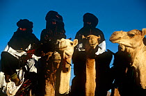 Tuareg camel riders on display at the Iferouane festival, central Niger, 2005.