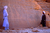 Guides viewing giraffe rock engraving , northern Niger, 2005.