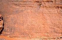 Ancient rock engravings of elephants, thought to be at least 8000 years old. Northern Niger, 2005.