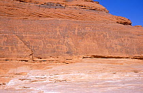 Ancient rock engravings of human and animal figures, thought to be at least 8000 years old. Northern Niger, 2005.