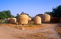 Grain silos in Hausa village, Niger, 2004.