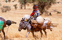 Peul / Fula woman travelling to new encampment on donkey, central Niger, 2004.