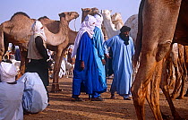 Tuareg men in traditional clothing in Agadez camel market, Niger, 2004.