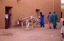 Local people and donkeys on street, Agadez, Niger, 2004.