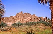Abandoned ancient fort at Segedine , northern Niger, 2005.
