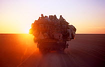 West African refugees crossing the Sahara on their way to Europe, Niger, 2005.