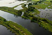Peene river and flooded land near Anklamer Stadtbruch, Anklam, Germany, August 2014.