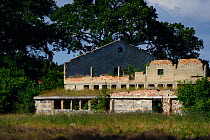 Abandoned farm building, Stepnica, Poland, July 2014.