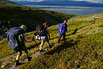 Woman and two teenage girls on hiking trip, on the Laponia Circuit, along the Padjelantaleden trail, Padjelanta National Park and Sarek National Park, Norrbotten, Lapland, Sweden.  Model released