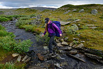 Mimmi Widstrand, walking over stepping stones in stream, Laponia Circuit, along the Padjelantaleden trail, Padjelanta National Park and Sarek National Park, Norrbotten, Lapland, Sweden. Model released
