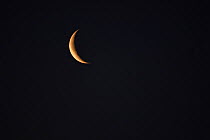 Waning crescent moon, Vosges, France, March.