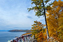 Prayer flags / scarves on the shore of Lake Baikal, Pribaikalsky National Park, Siberia, Russia, September 2013.