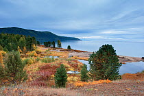 Lake shore in autumn, Zabaikalsky National Park, Lake Baikal, Siberia, Russia, September 2013.