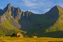 Mountains towering above house at Myrland on the  Loften Islands in late evening sun. Myrland, Loften Islands, Norway. July.