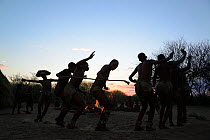 Naro San Bushmen family, men performing traditional dance and women singing and sitting around the fire at dawn, Kalahari, Ghanzi region, Botswana, Africa. Dry season, October 2014.