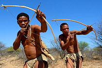 Naro San Bushmen hunting in the bush with traditional bow and arrows, Kalahari, Ghanzi region, Botswana, Africa. Dry season, October 2014.