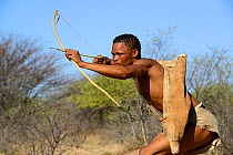 Naro San Bushman hunting in the bush with traditional bow and arrow, Kalahari, Ghanzi region, Botswana, Africa. Dry season, October 2014.