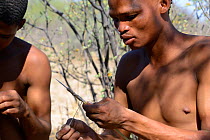 Naro San Bushman preparing arrow for hunting, Kalahari, Ghanzi region, Botswana, Africa. Dry season, October 2014.
