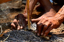 Naro San Bushmen making fire by turning sticks, Kalahari, Ghanzi region, Botswana, Africa. Dry season, October 2014.