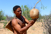 Naro San Bushman holding a milkplant root (Raphionacme sp) which has fibers containing a juice which can be drunk. Kalahari, Ghanzi region, Botswana, Africa. Dry season, October 2014.
