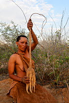 Naro San woman with the root of a kombrua plant which is thirst-quenching and nutritious. Kalahari, Ghanzi region, Botswana, Africa. Dry season, October 2014.