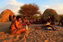 Naro San Bushmen family sitting around fire, woman peeling the root of a kombrua plant which is nutritious and thirst-quenching. Kalahari, Ghanzi region, Botswana, Africa. Dry season, October 2014.