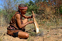 Naro San woman in the bush, peeling the root of a kombrua plant which is nutritious and thirst-quenching. Kalahari, Ghanzi region, Botswana, Africa. Dry season, October 2014.