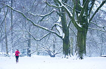 Runner in the snow, South Meadow, Hampstead Heath, London, UK, January 2013.
