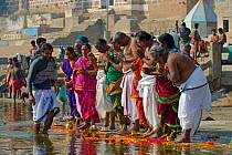 Pilgrims praying at the Ganges river, Varanasi, India. February 2012.