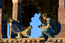 Photographer Axel Gomille, with Hanuman Langur (Semnopithecus/ Presbytis entellus), in front of Ranthambhore Fort, Rajasthan, India. December 2006.