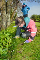 Dani Siddall inspecting an active Water vole (Arvicola amphibius) burrow  with grassy area grazed around the entrance, on the banks of small lake, found during survey for signs of Water vole activity,...