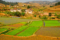 Rice fields and villages, Madagascar, March 2005.