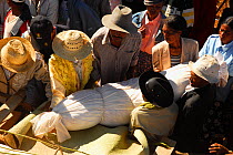 Famadihana, traditional funeral ceremony of the Merina and Betsileo ethnic groups where the dead are exhumed every seven years, a joyous festival with dancing and musicians. Antsirabe, Madagascar, Feb...