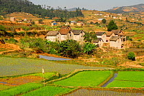 Rice fields and villages, Madagascar, March 2005.