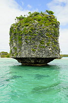 Rocky islet with lower half eroded by the sea, Ile des Pins (Pine Island), New Caledonia, September 2008.