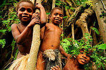 Children playing in the branches of a tree. Tanna Island, Tafea Province, Vanuatu, September 2008.