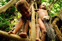 Children playing in the branches of a tree. Tanna Island, Tafea Province, Vanuatu, September 2008.