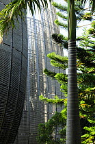 Tjibaou Cultural Center designed by Renzo Piano. The building is designed to be integrated with the surrounding forest. Noumea, New Caledonia, September 2008.