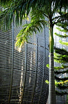 Tjibaou Cultural Center designed by Renzo Piano. The building is designed to be integrated with the surrounding forest. Noumea, New Caledonia, September 2008.