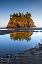 Seastack reflected in water, Second Beach, Olympic National Park, Washington, USA, May 2014.