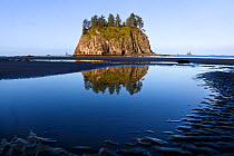 Seastack reflected in water, Second Beach, Olympic National Park, Washington, USA, May 2014.
