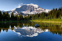Mount Rainier reflected in tarn above Mystic Lake in Mount Rainier National Park, Washington, USA, August 2014.