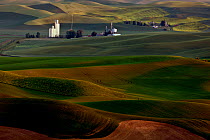 View over farmland from Steptoe Butte, Steptoe Butte State Park, Whitman County, Washington, USA, June 2014.