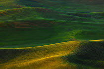 View over farmland from Steptoe Butte, Steptoe Butte State Park, Whitman County, Washington, USA, June 2014.