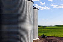Grain silos on farm in the Palouse area of Whitman County, Washington, USA, June 2014.
