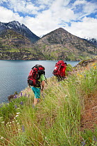 Hikers on the Lake Chelan Trail between Prince Creek and Meadow Creek, Lake Chelan Sawtooth Wilderness, Washington, USA, May 2014. Model released.