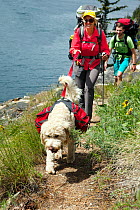 Hikers with dog on the Lake Chelan Trail between Prince Creek and Meadow Creek, Lake Chelan Sawtooth Wilderness, Washington, USA, May 2014. Model released.