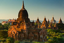 Temples of Bagan in the early morning, Myanmar, November 2012.